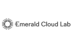 Emerald Cloud Lab Gray Logo